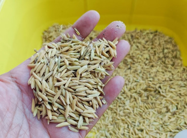 ลงพื้นที่ติดตามผลการใช้ประโยชน์อุปกรณ์การตลาด ... พารามิเตอร์รูปภาพ 10